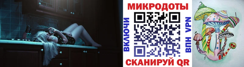 закладка  Муравленко  МЕГА вход  Псилоцибиновые грибы Psilocybe 