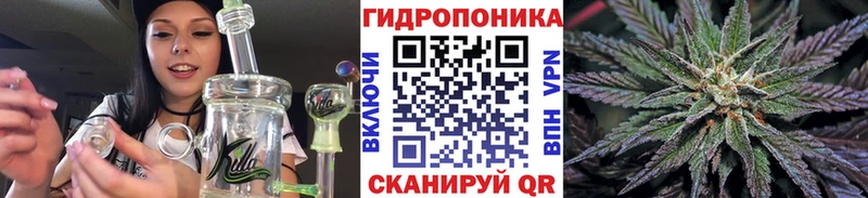 Бошки марихуана гибрид  мега маркетплейс  Муравленко 